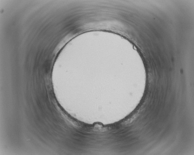 X0000077281521200611171549