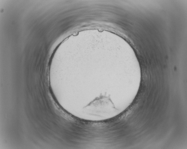 X0000077281522200611171549