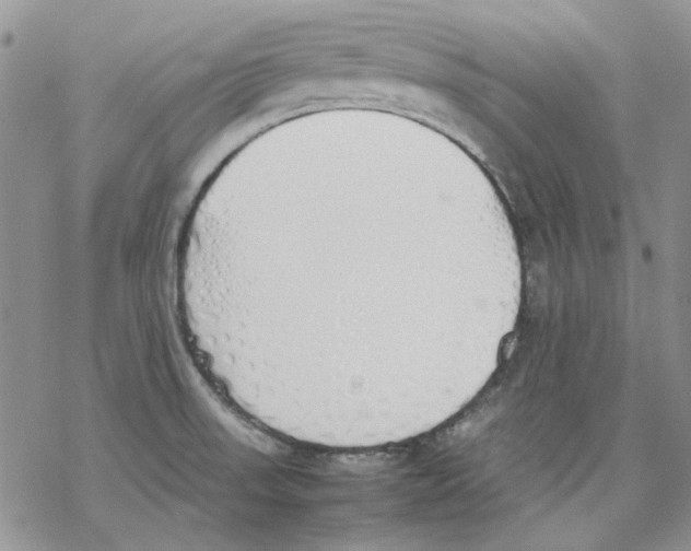 X0000077281523200611171549