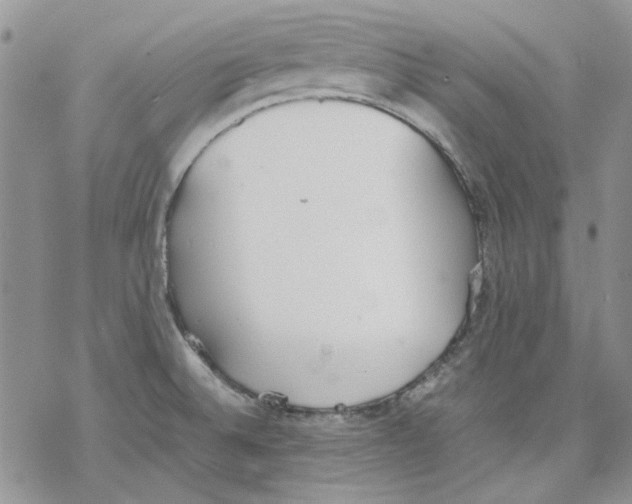 X0000077281524200611171549