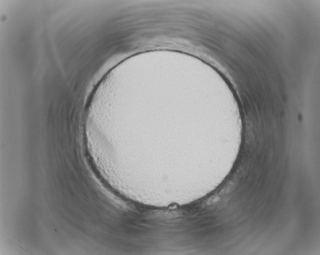 X0000077281525200611171549