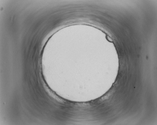 X0000077281526200611171549