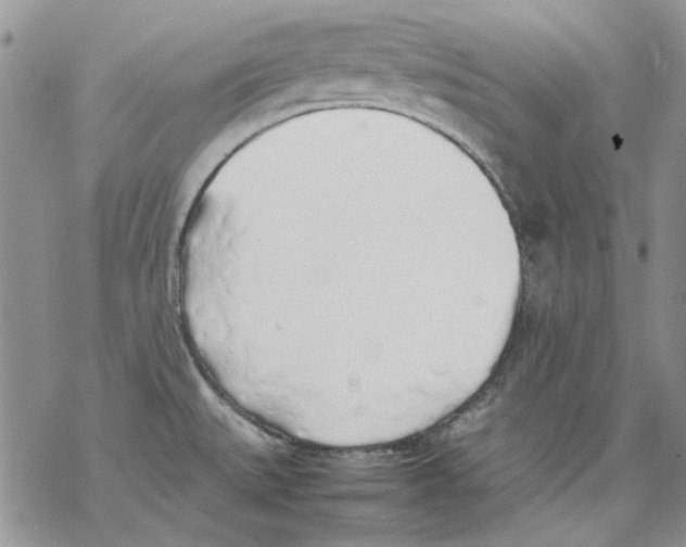 X0000077281527200611171549