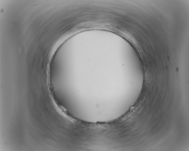 X0000077281528200611171549