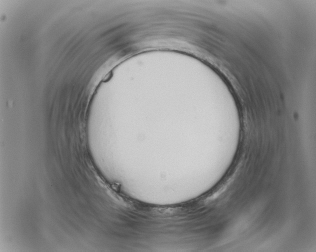 X0000077281529200611171549