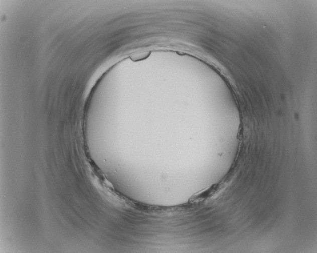 X0000077281530200611171549