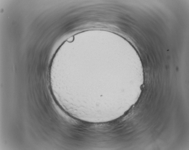 X0000077281531200611171549