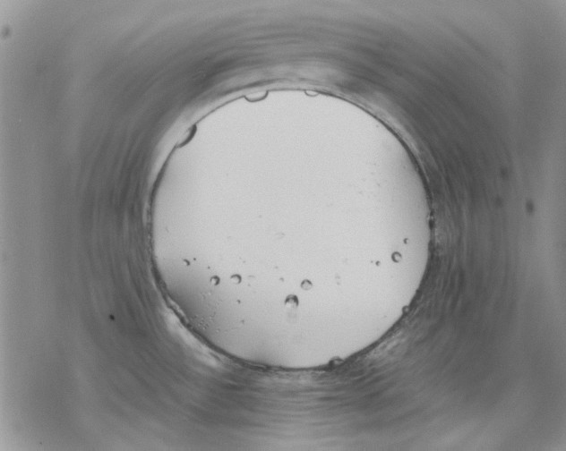 X0000077281532200611171549