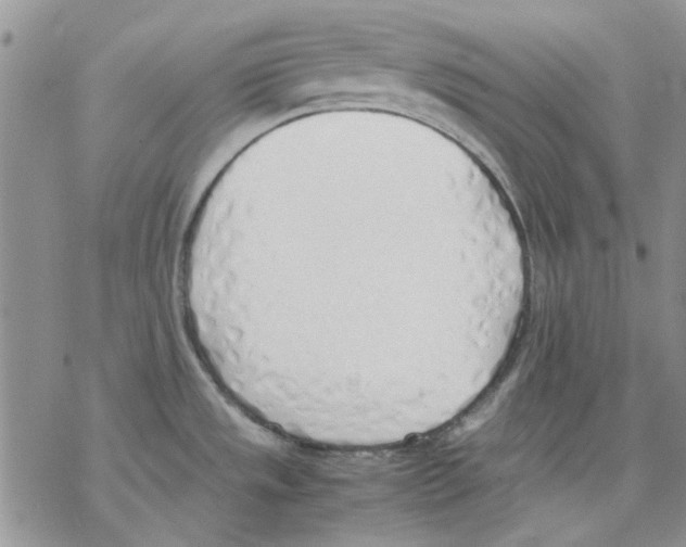 X0000077281533200611171549