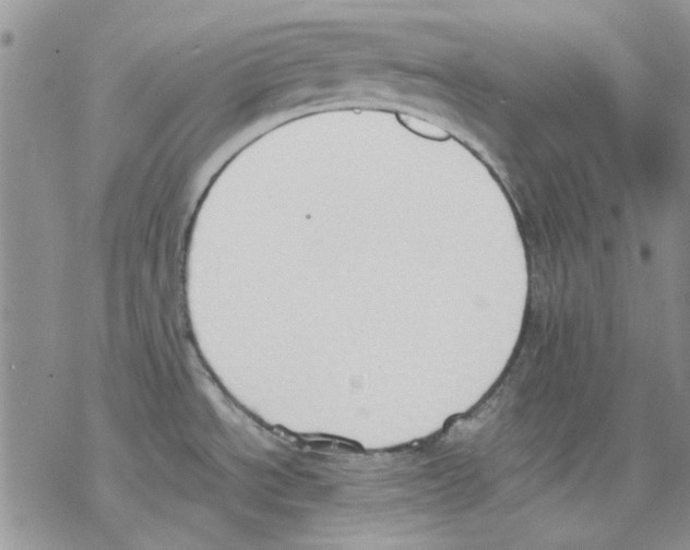 X0000077281534200611171549