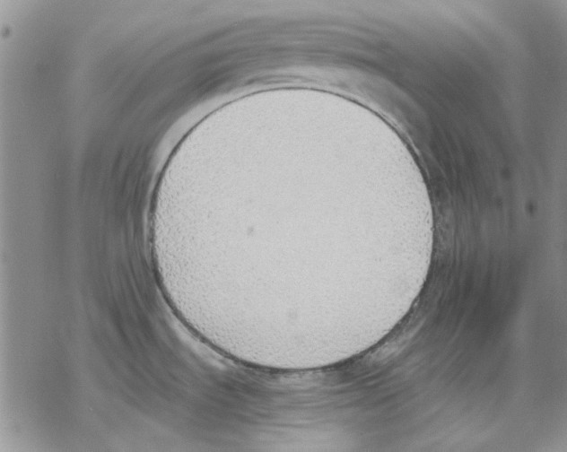 X0000077281535200611171549