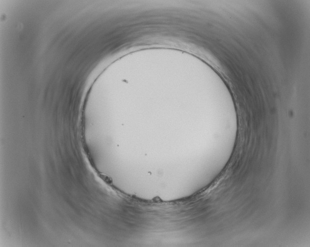 X0000077281536200611171549