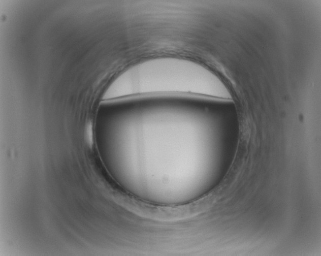 X0000077290027200610200821