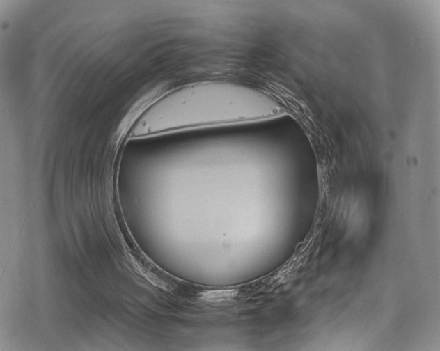 X0000077290051200610200820