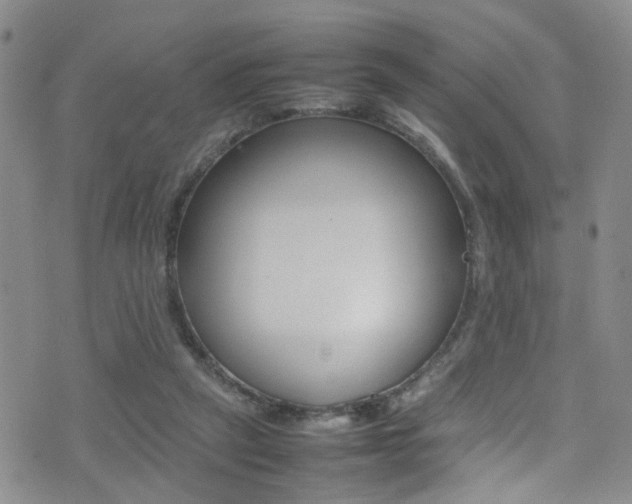 X0000077290257200610200817
