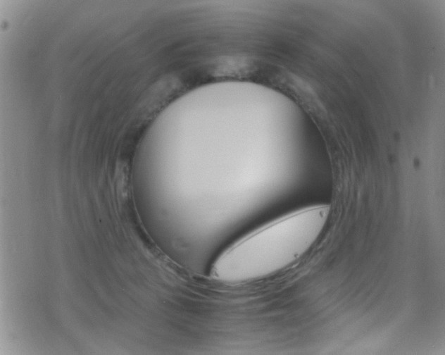 X0000077290273200610200817