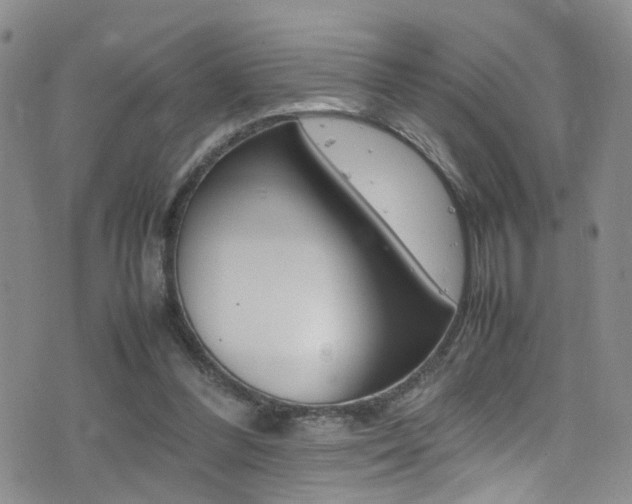 X0000077290300200610200816