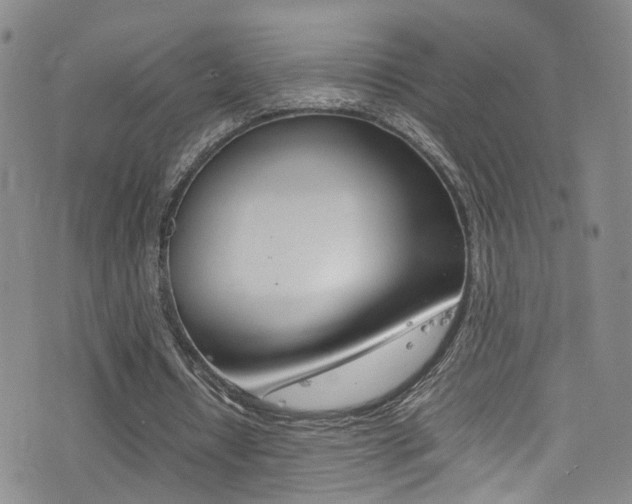 X0000077290434200610200813