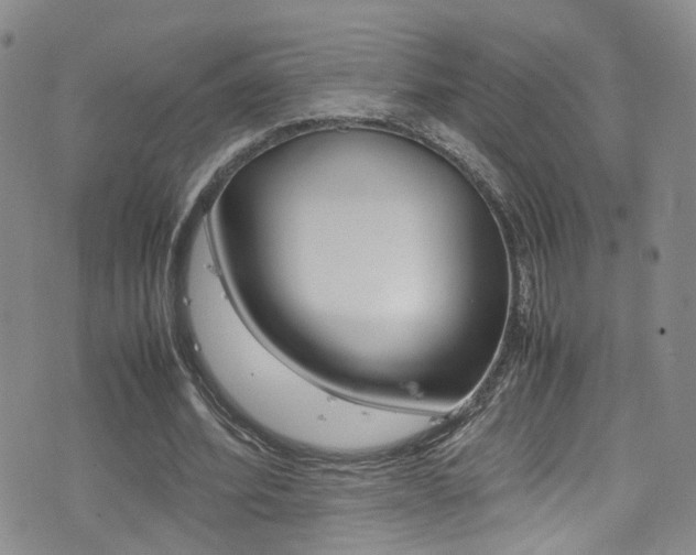 X0000077290580200610200812