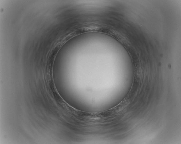 X0000077290743200610200809