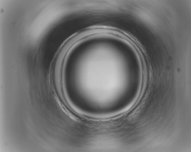 X0000077290862200610200808