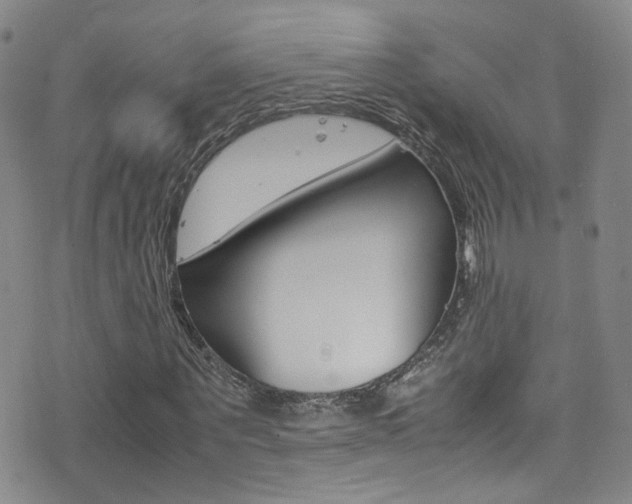 X0000077290867200610200807