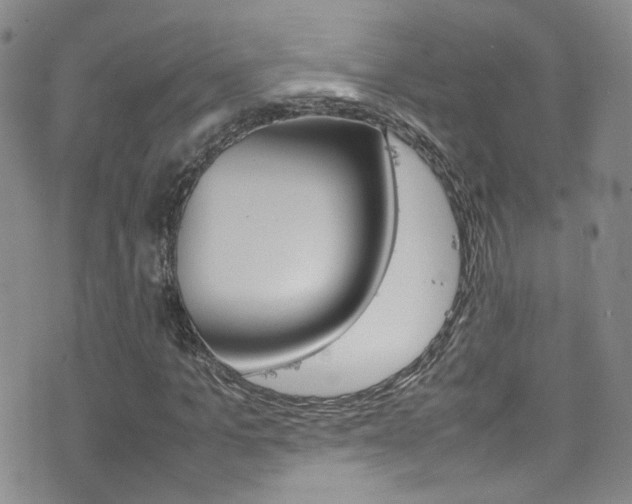 X0000077290965200610200805