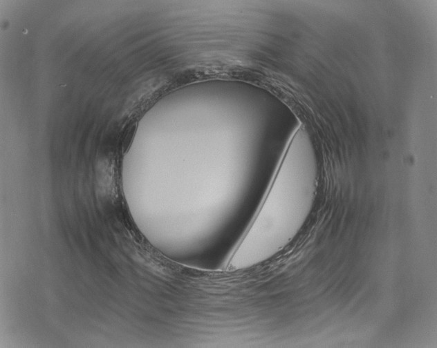 X0000077291060200610200804