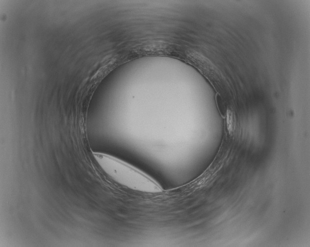 X0000077291107200610200802