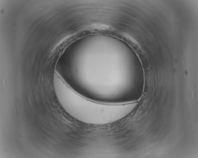 X0000077291112200610200802