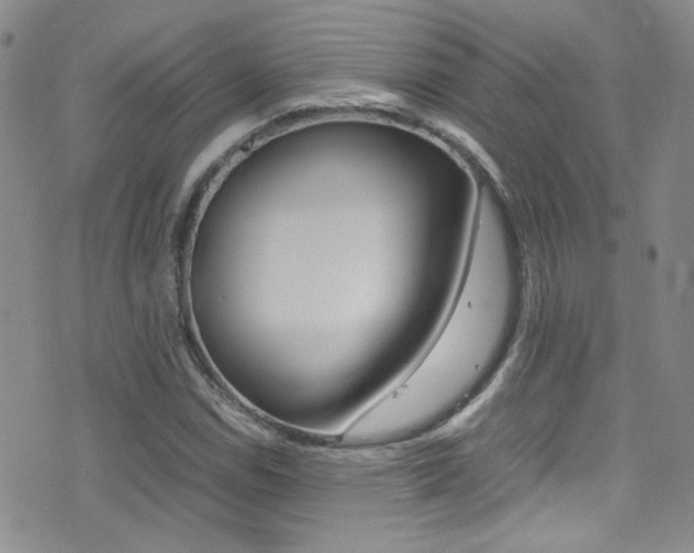 X0000077291114200610200802