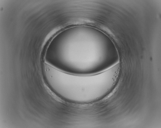 X0000077291122200610200802
