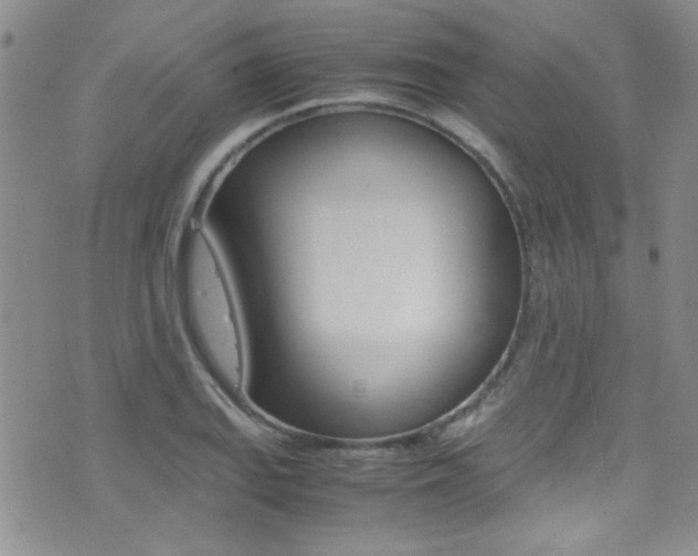 X0000077291127200610200802