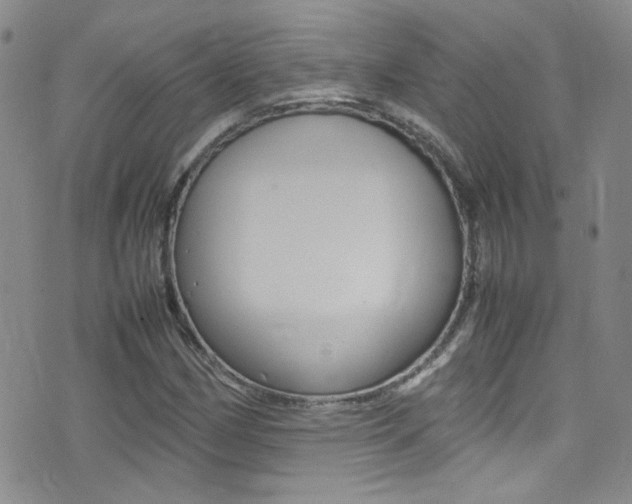 X0000077291162200610200802