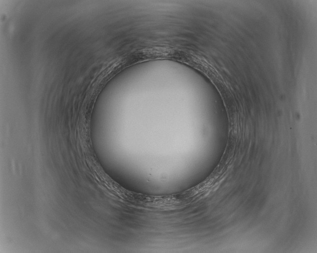 X0000077291201200610200801