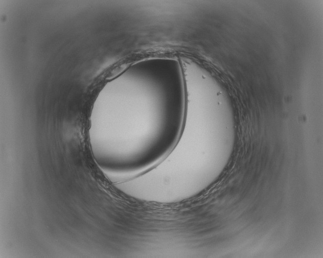 X0000077291206200610200801
