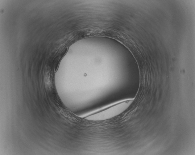 X0000077291250200610200801