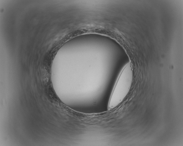 X0000077291253200610200800
