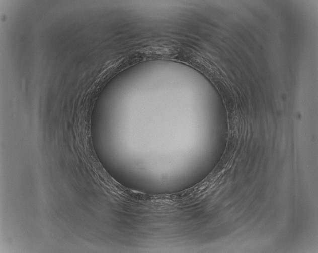 X0000077291297200610200759