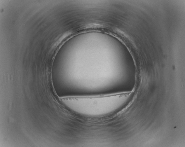X0000077291313200610200759