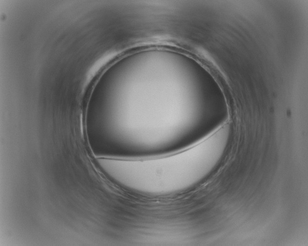 X0000077291320200610200759