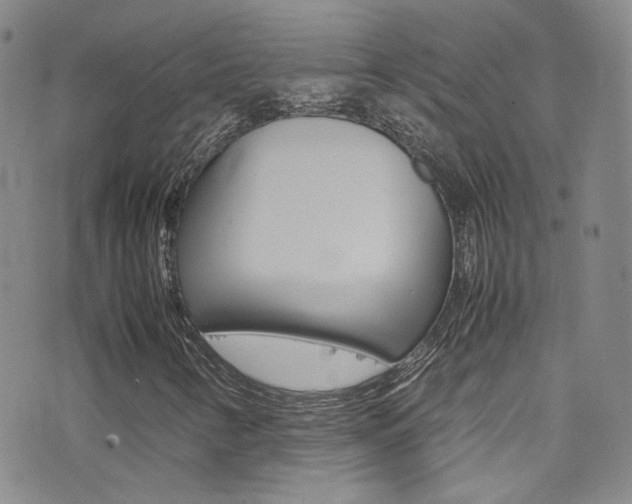 X0000077291346200610200759