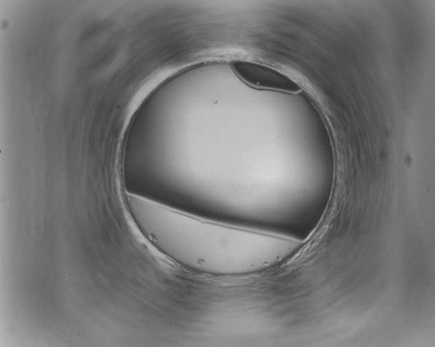 X0000077291440200610200758