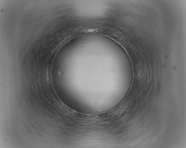 X0000077291442200610200757