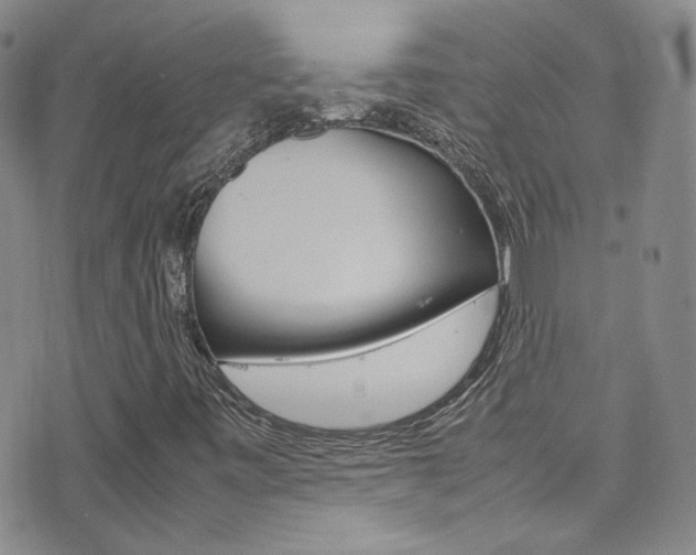 X0000077291443200610200757