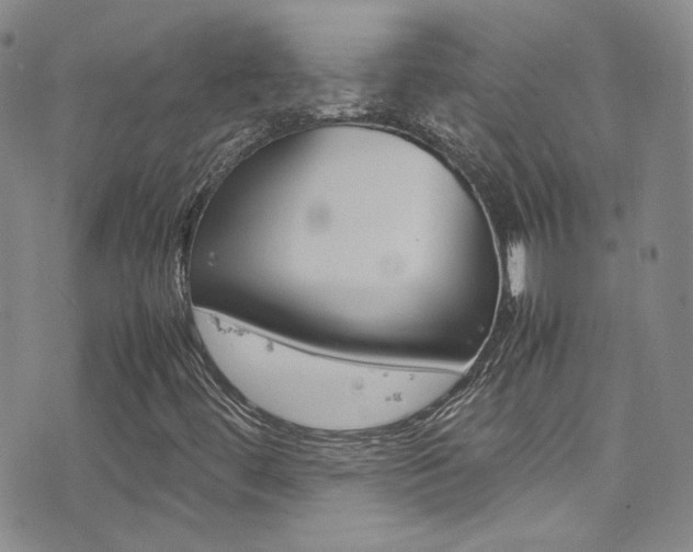 X0000077291444200610200757