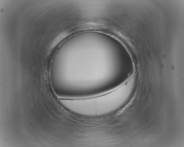 X0000077291453200610200757