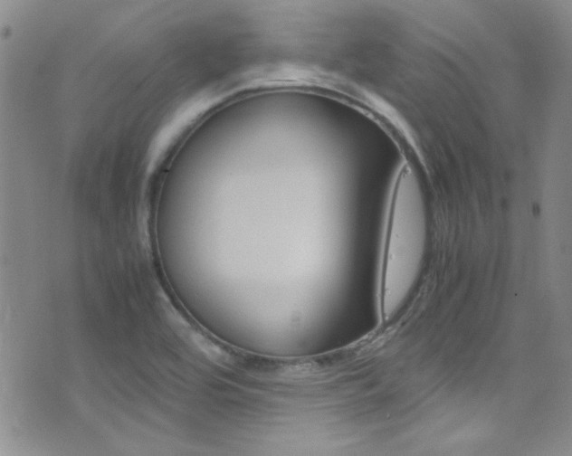 X0000077291464200610200757