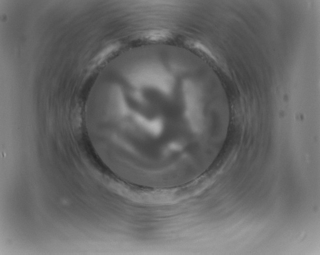 X0000077290032200610201145