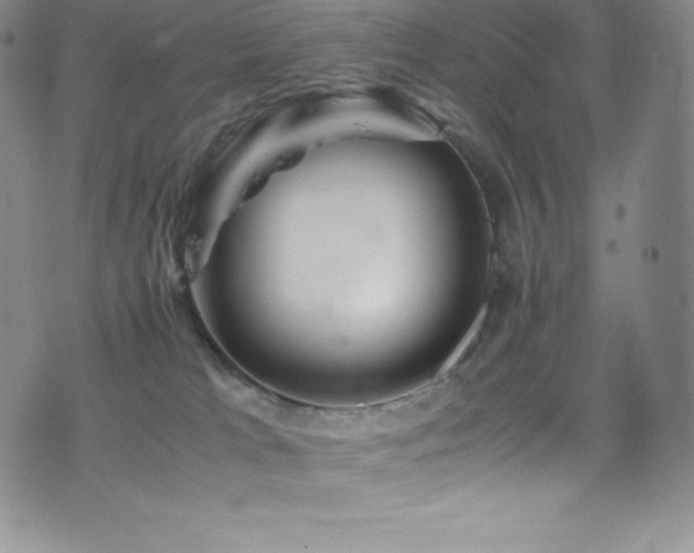 X0000077290037200610201145